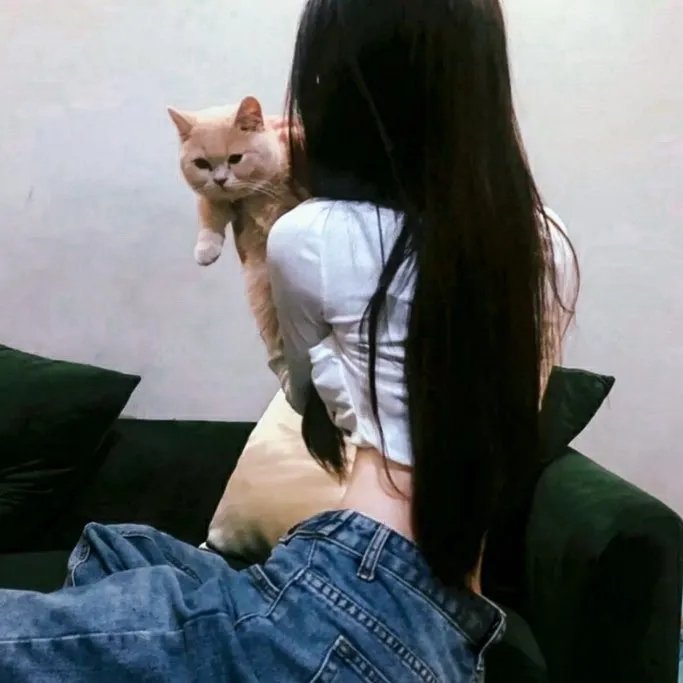 猎豹出击
